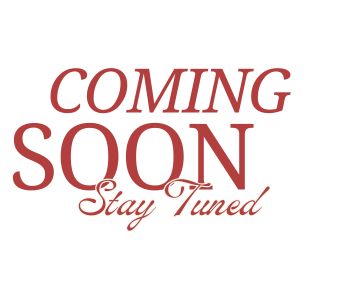 Coming soon seo project